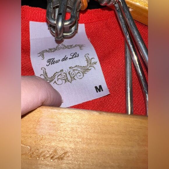 Fleur De Lis Sleeveless Vneck Blouse with low Split Back & Ruffles Size M EUC - Picture 5 of 6